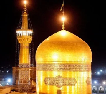 بهترین جراح بینی گوشتی در مشهد