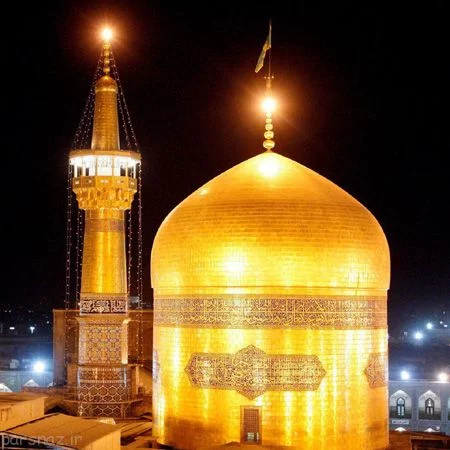 بهترین جراح بینی گوشتی در مشهد