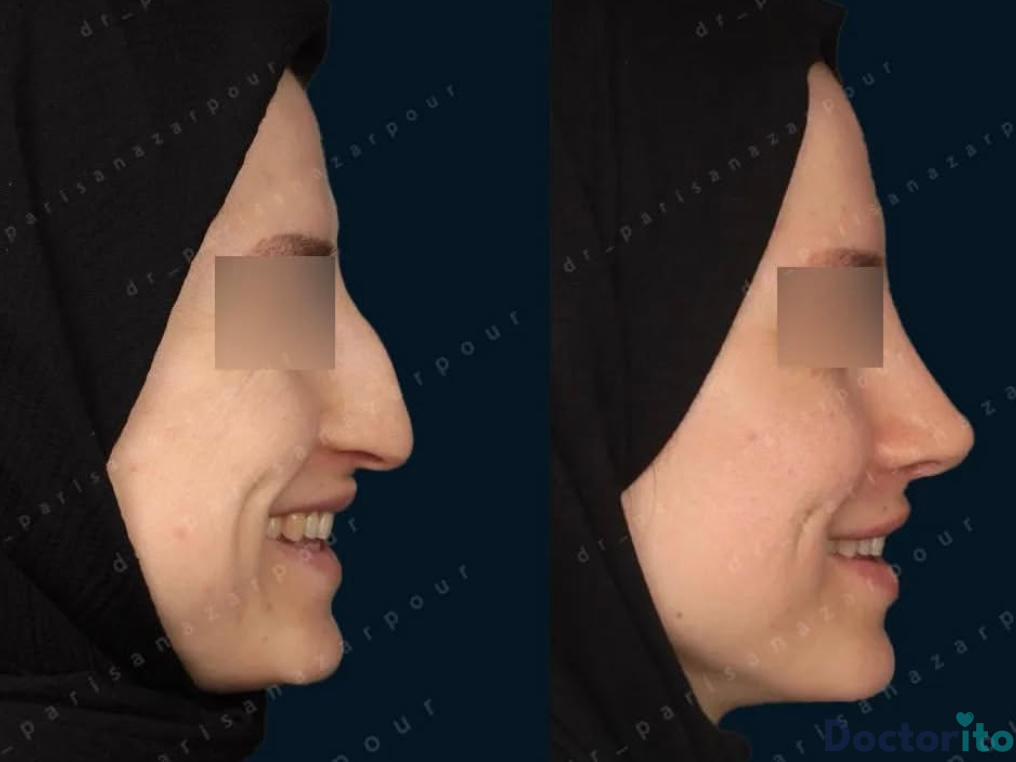 نمونه کارهای دکتر پریسا نظرپور (1)